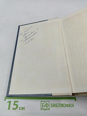 Кладовая солнца. Глаза земли. Корабельная чаща