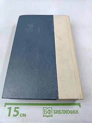 Кладовая солнца. Глаза земли. Корабельная чаща