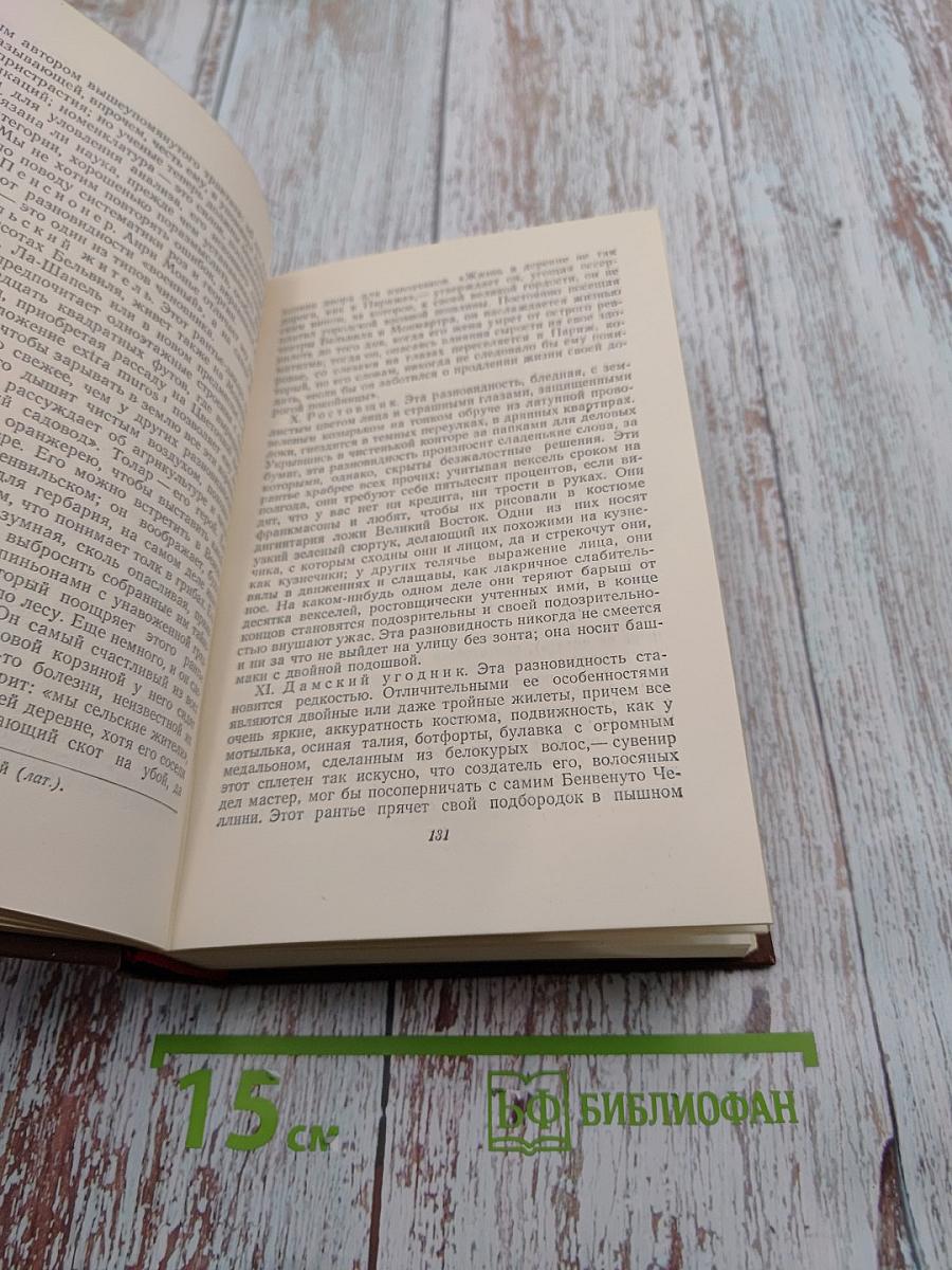 Собрание сочинений. Том 15: Очерки, литературно-критические статьи, избранные письма