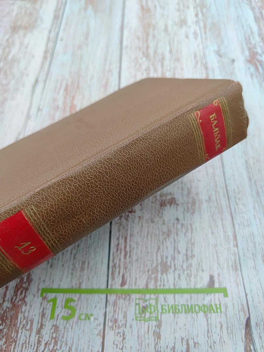 Человеческая комедия. Философские этюды. Том 13