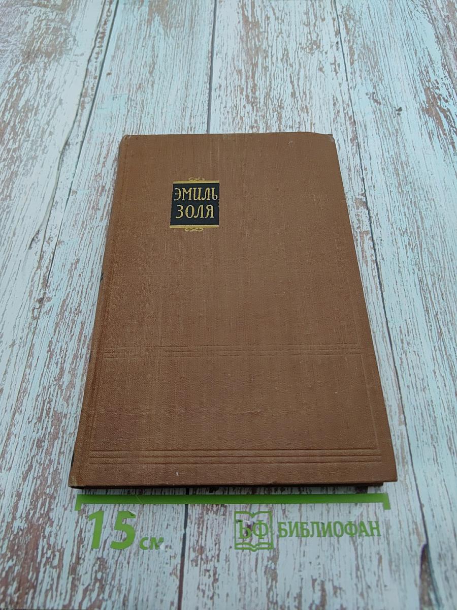 Доктор Паскаль. Том 16