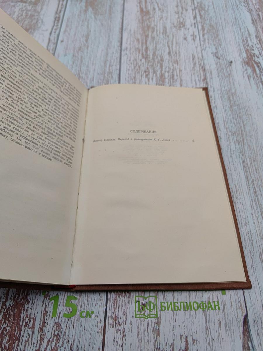 Доктор Паскаль. Том 16