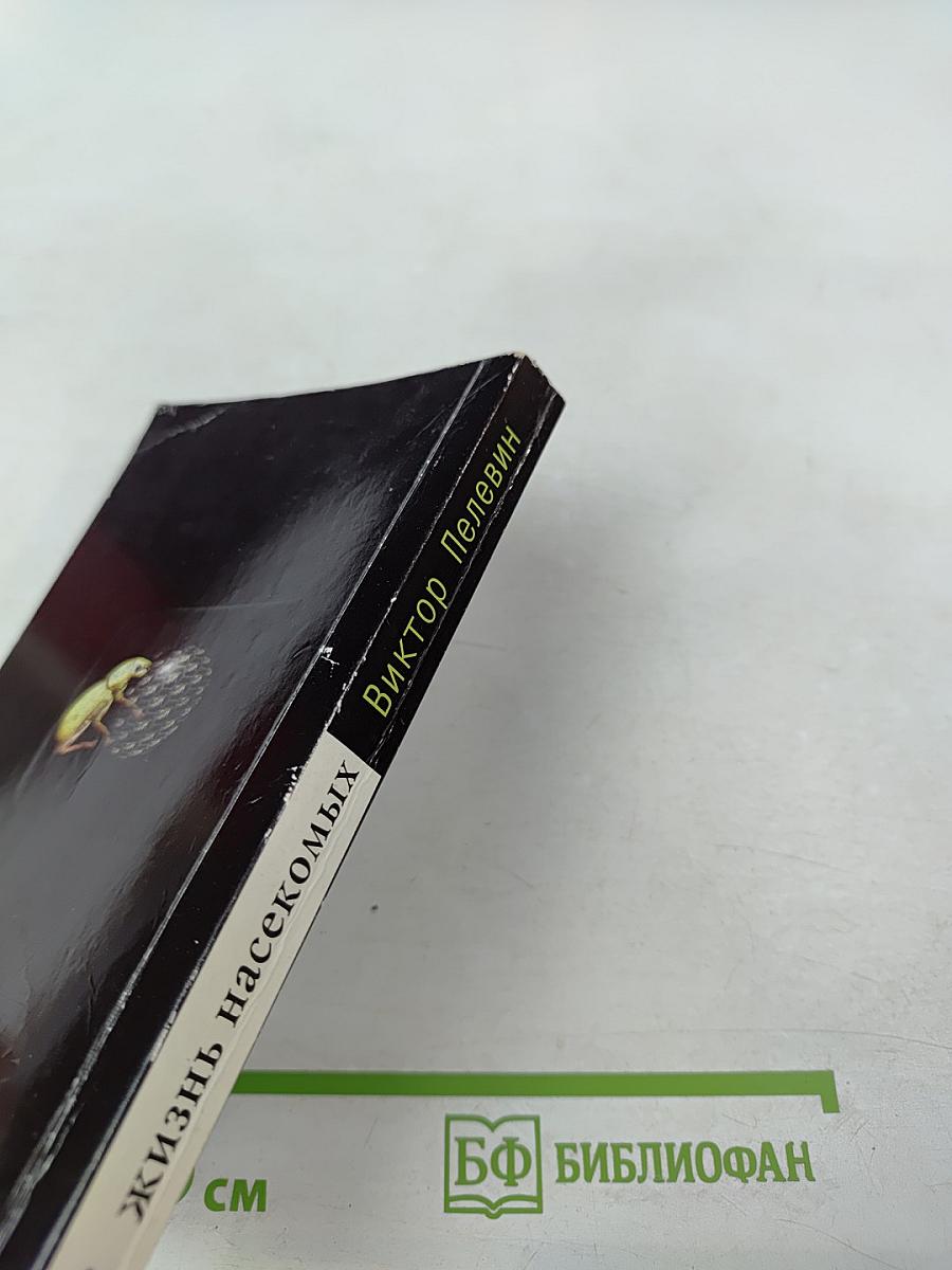 Жизнь насекомых