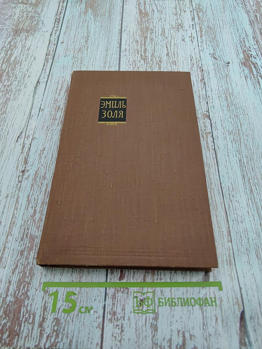 Его превосходительство Эжен Ругон. Том 5