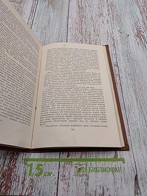 Его превосходительство Эжен Ругон. Том 5