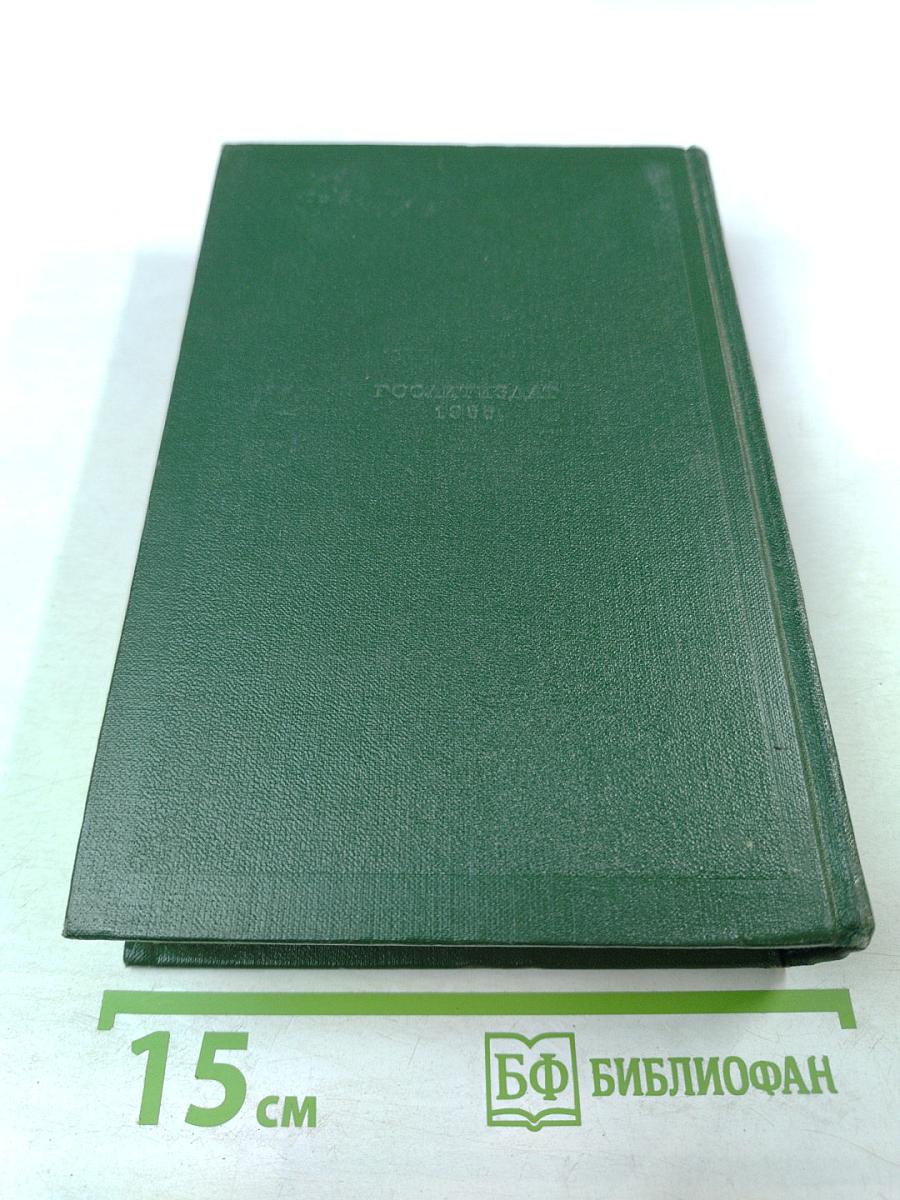 Собрание сочинений. Том восьмой: Повести и рассказы 1871-1888 годов. Стихотворения в прозе