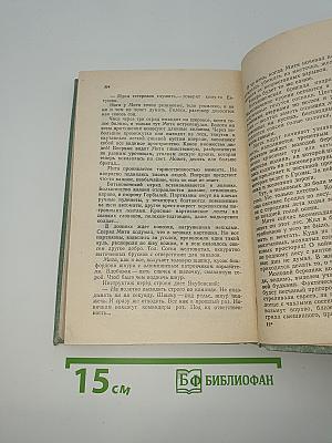 Сорок третий