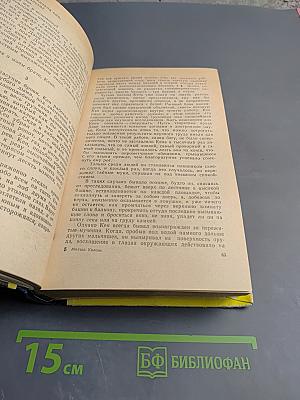 Брат мой, враг мой