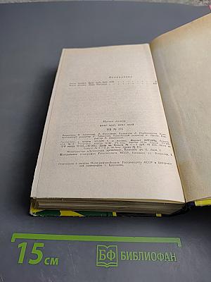 Брат мой, враг мой