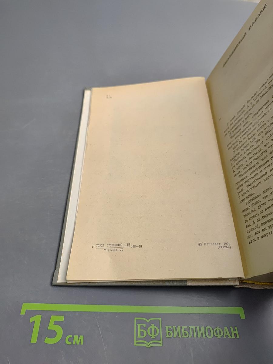 Испытательный срок: Повести и рассказы