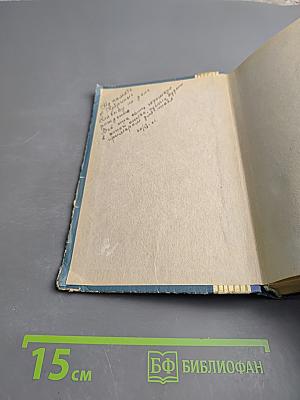 Новый директор