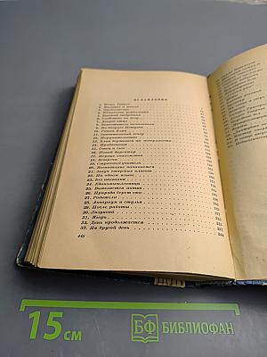 Новый директор