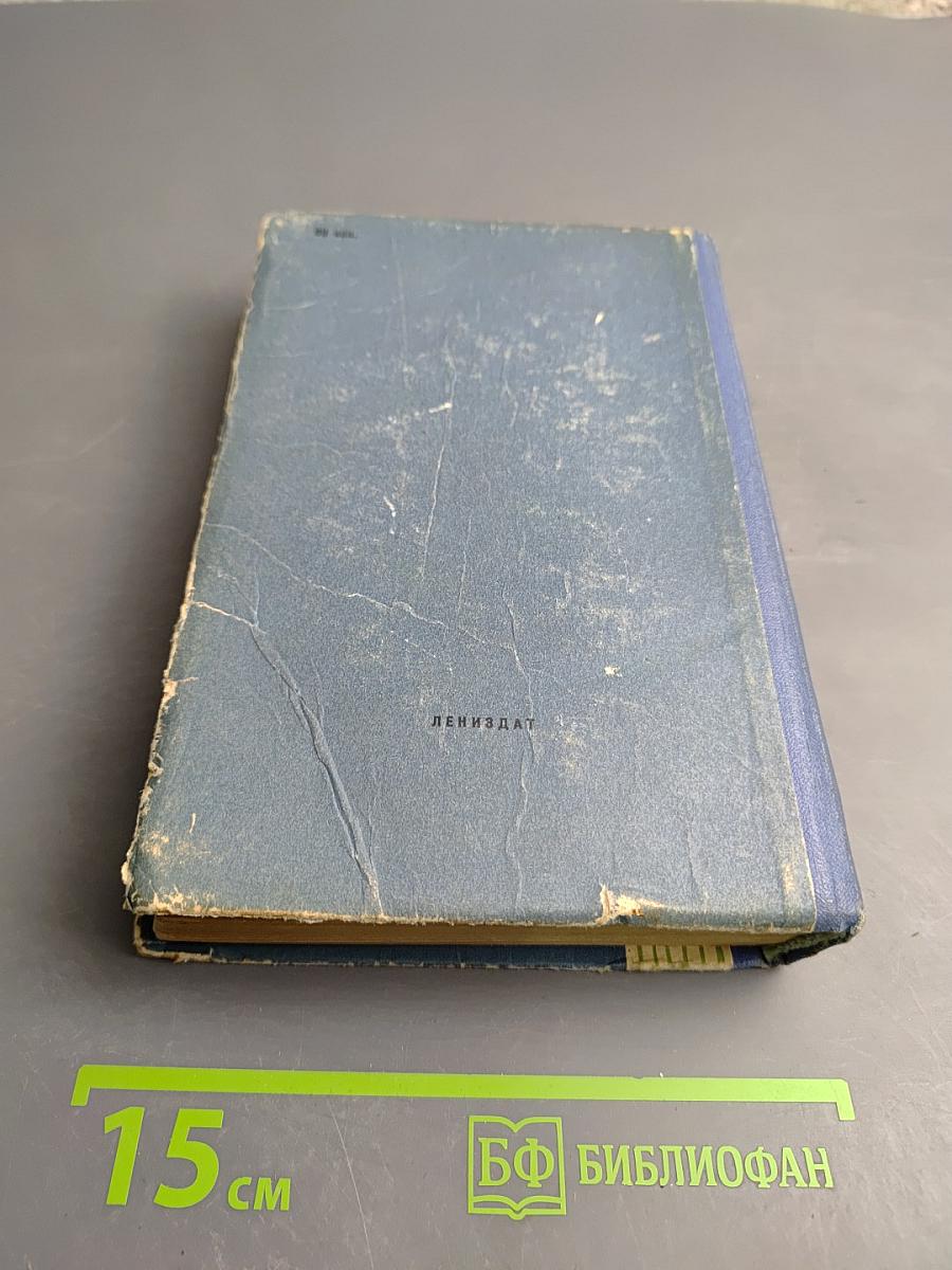 Новый директор