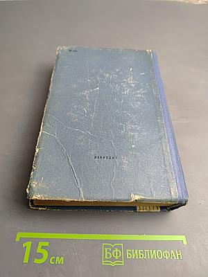 Новый директор