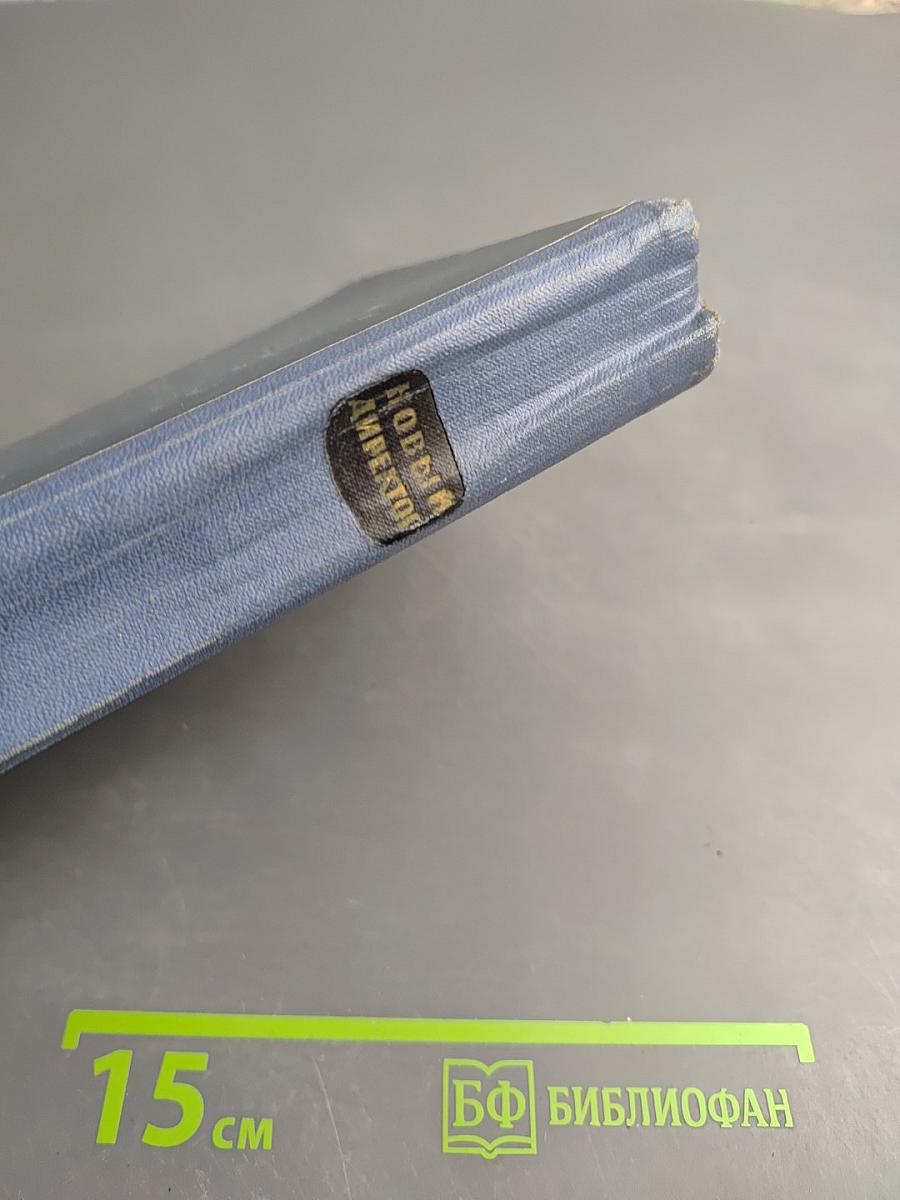 Новый директор