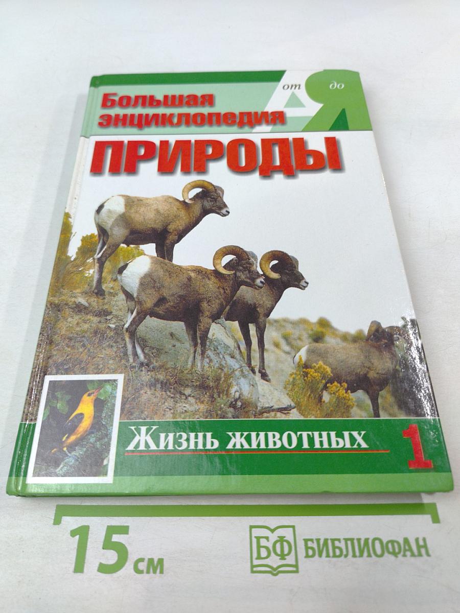 Большая энциклопедия Природы. Жизнь животных. Том 1 А-И