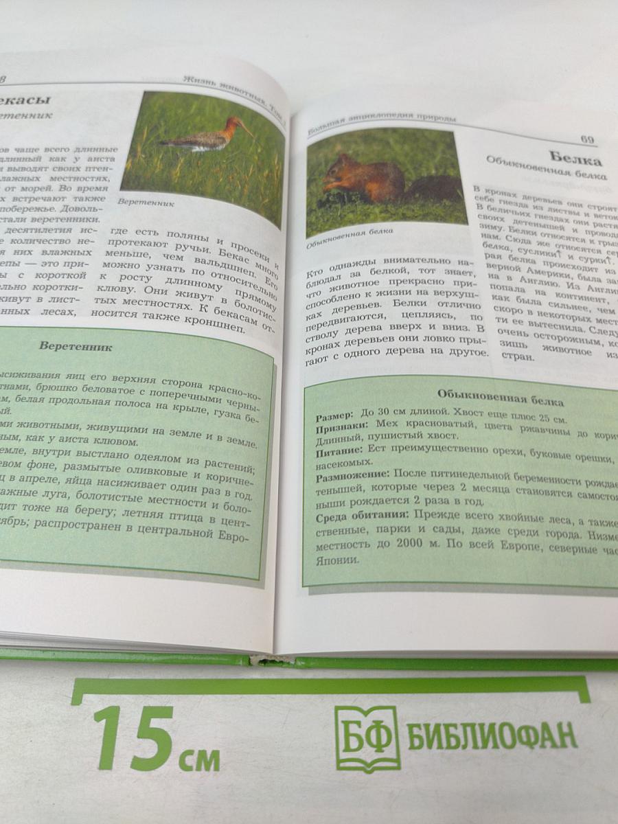 Большая энциклопедия Природы. Жизнь животных. Том 1 А-И