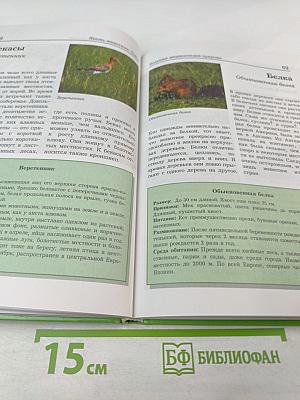 Большая энциклопедия Природы. Жизнь животных. Том 1 А-И