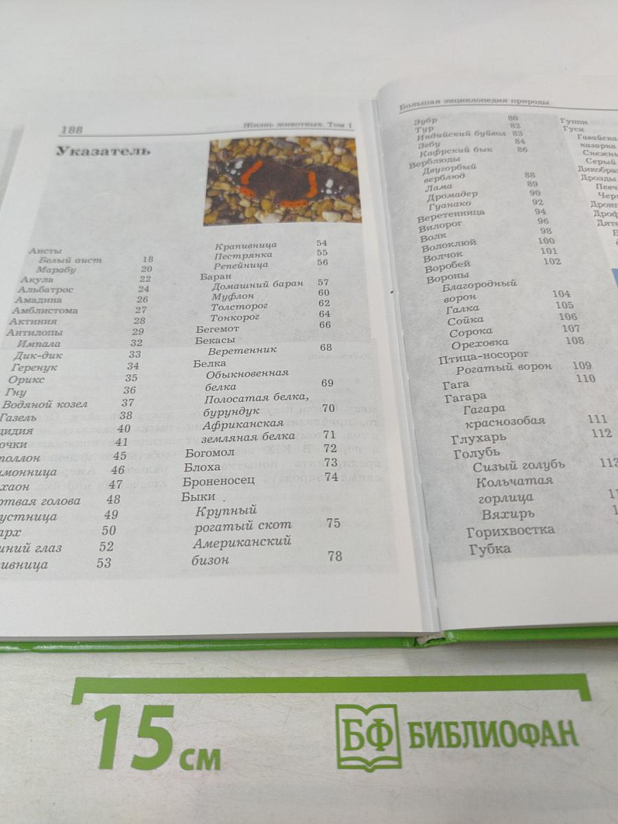 Большая энциклопедия Природы. Жизнь животных. Том 1 А-И