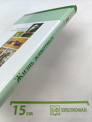 Большая энциклопедия Природы. Жизнь животных. Том 1 А-И