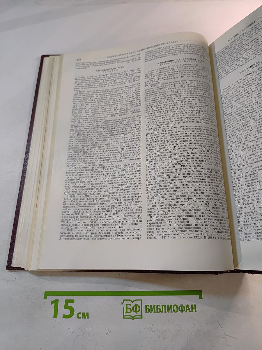 Ежегодник Большой Советской Энциклопедии 1989