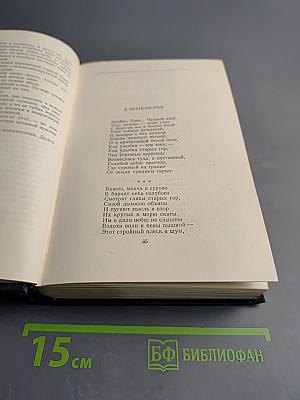 Том 2: Рассказы, стихи 1895-1896