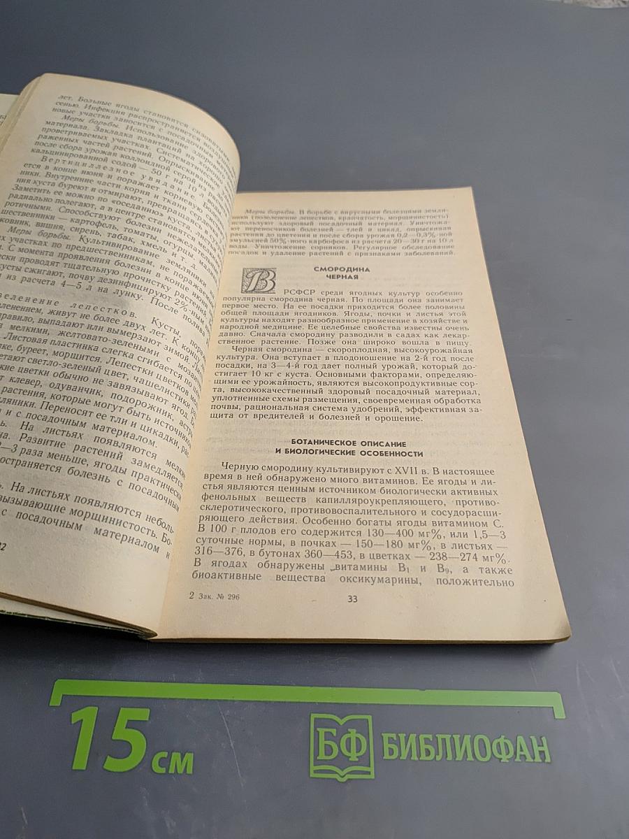 Ягодный сад