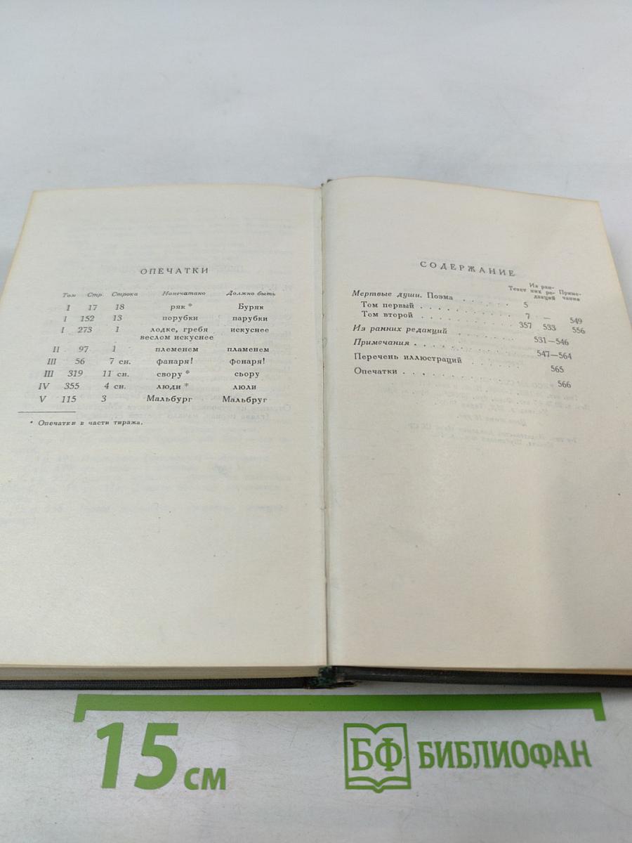 Мертвые души. Том пятый