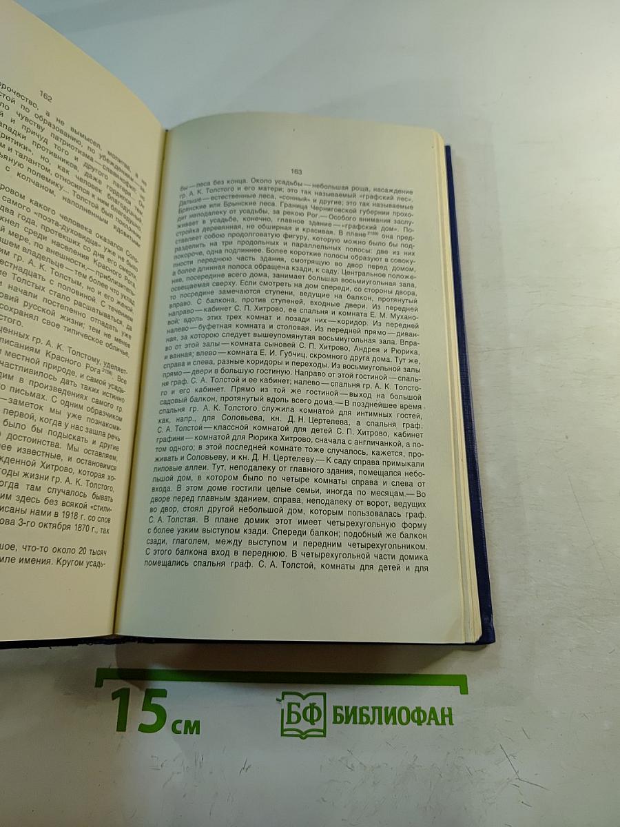 О Вл. С. Соловьеве в его молодые годы. Материалы к биографии. Книга третья, выпуск II