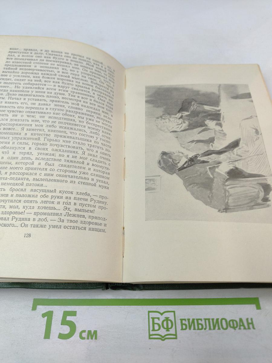 Собрание сочинений. Том второй: Рудин, Дворянское гнездо