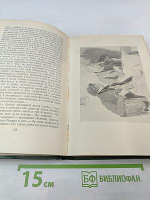 Собрание сочинений. Том второй: Рудин, Дворянское гнездо