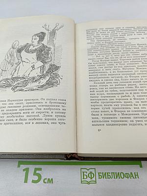 Собрание сочинений. Том Четвертый. Ругон-Маккары: Чрево Парижа, Завоевание Плассана