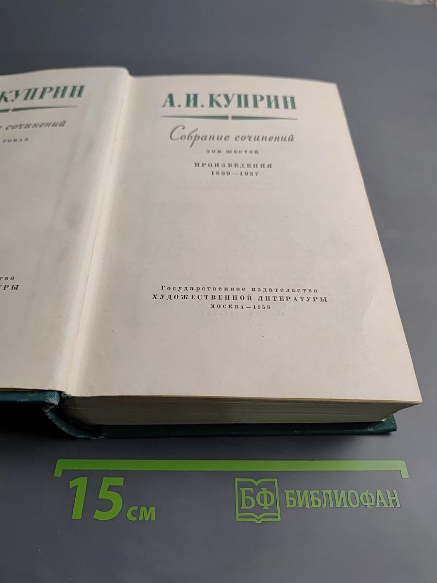 Собрание сочинений. Том шестой. Произведения 1899-1907