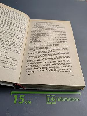 Виконт де Бражелон, или Десять лет спустя - III (Части 5, 6)