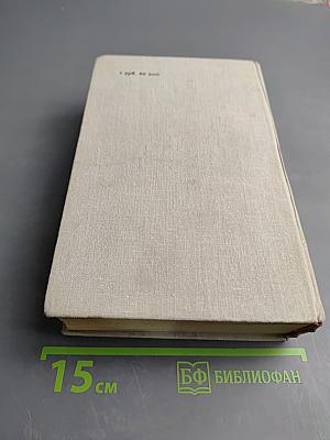 Виконт де Бражелон, или Десять лет спустя - III (Части 5, 6)