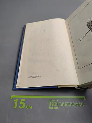 Два капитана