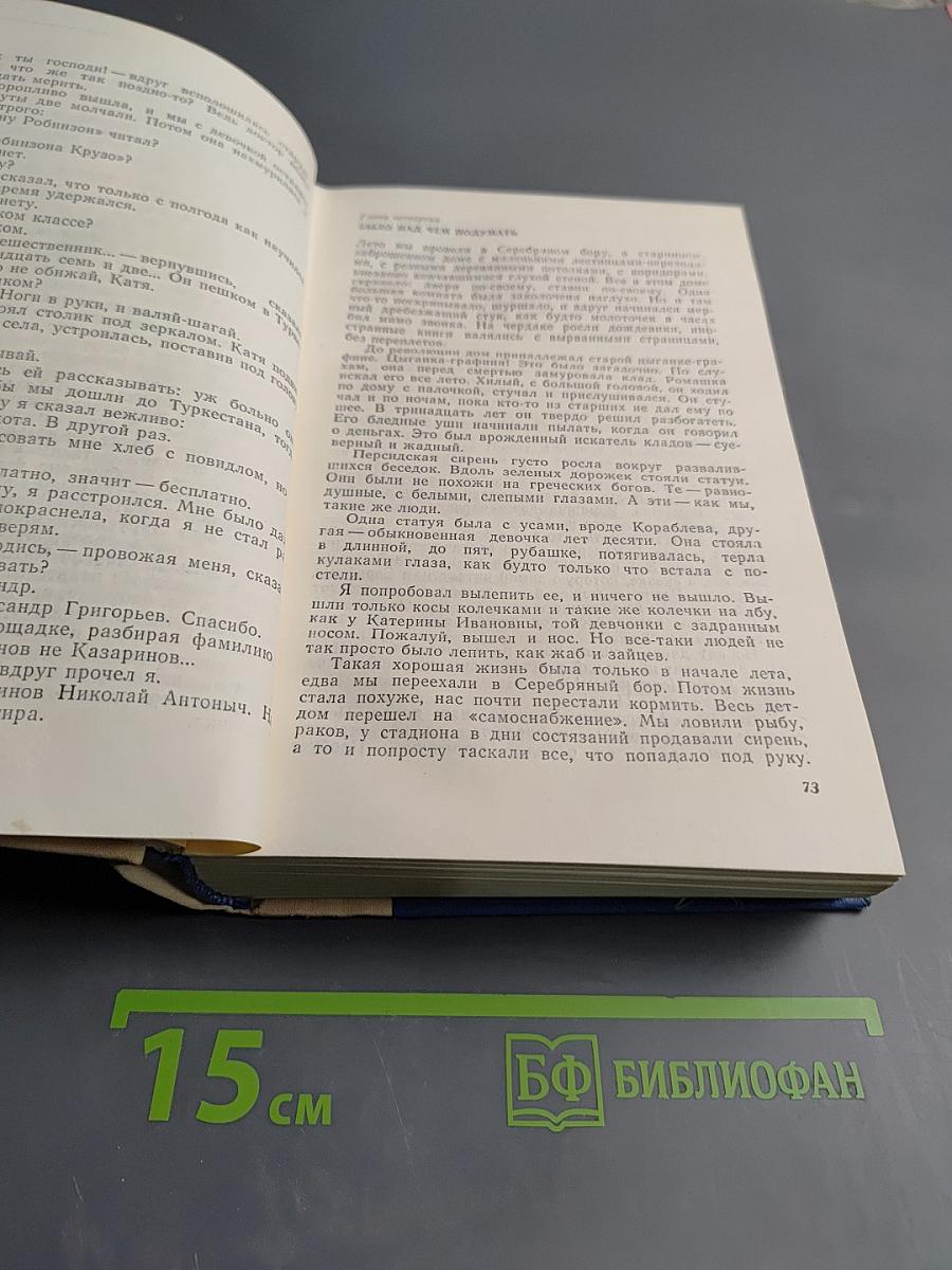 Два капитана