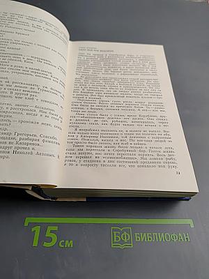 Два капитана