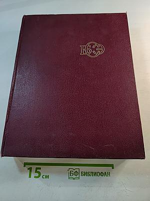 Большая Советская Энциклопедия. Том 10. ИВА — ИТАЛИКИ