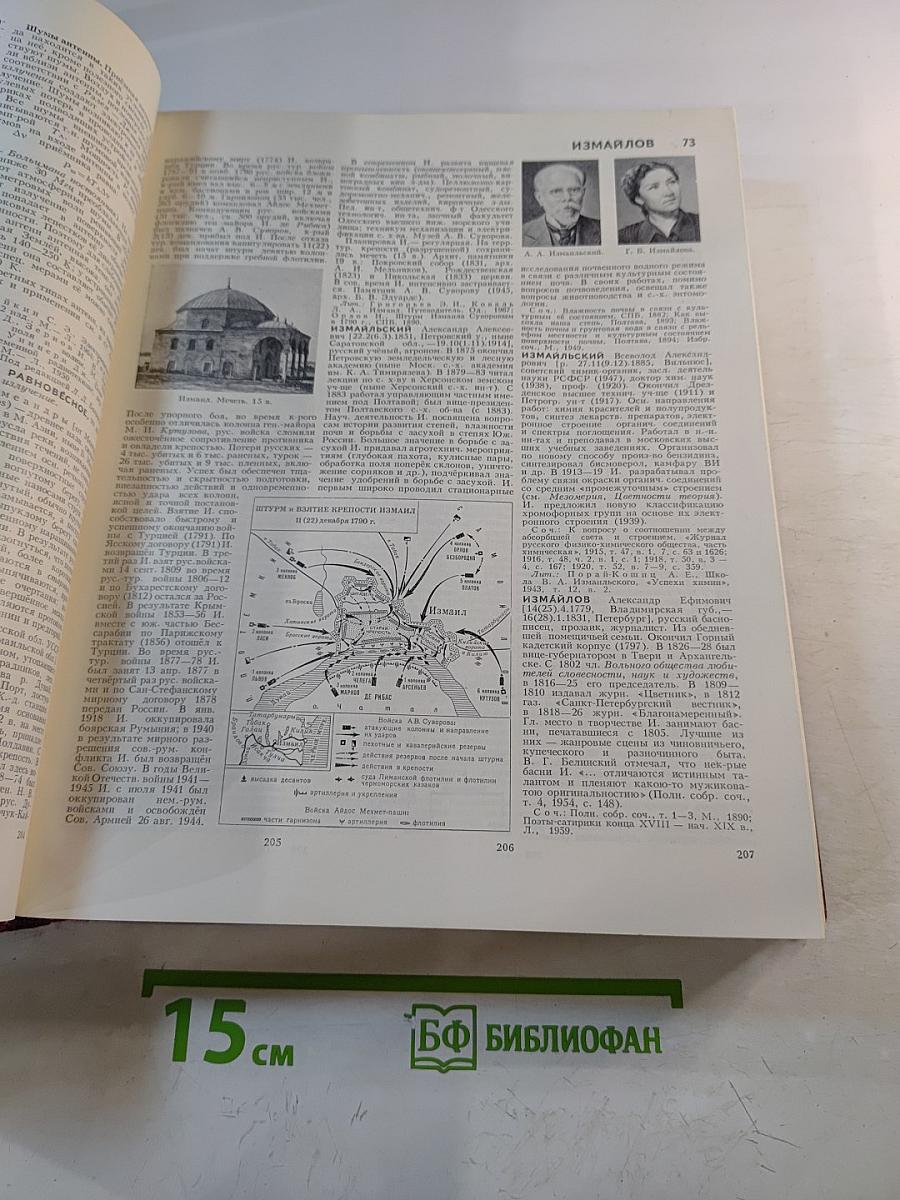 Большая Советская Энциклопедия. Том 10. ИВА — ИТАЛИКИ
