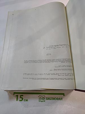 Большая Советская Энциклопедия. Том 10. ИВА — ИТАЛИКИ