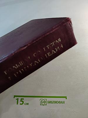 Большая Советская Энциклопедия. Том 10. ИВА — ИТАЛИКИ