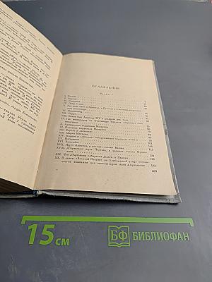 Виконт де Бражелон или Десять лет спустя