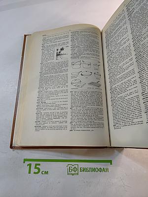 Словарь современного английского языка. Том II. M-Z