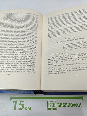Собрание сочинений. Том Девятый: По экватору, Таинственный незнакомец