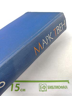 Собрание сочинений. Том Девятый: По экватору, Таинственный незнакомец