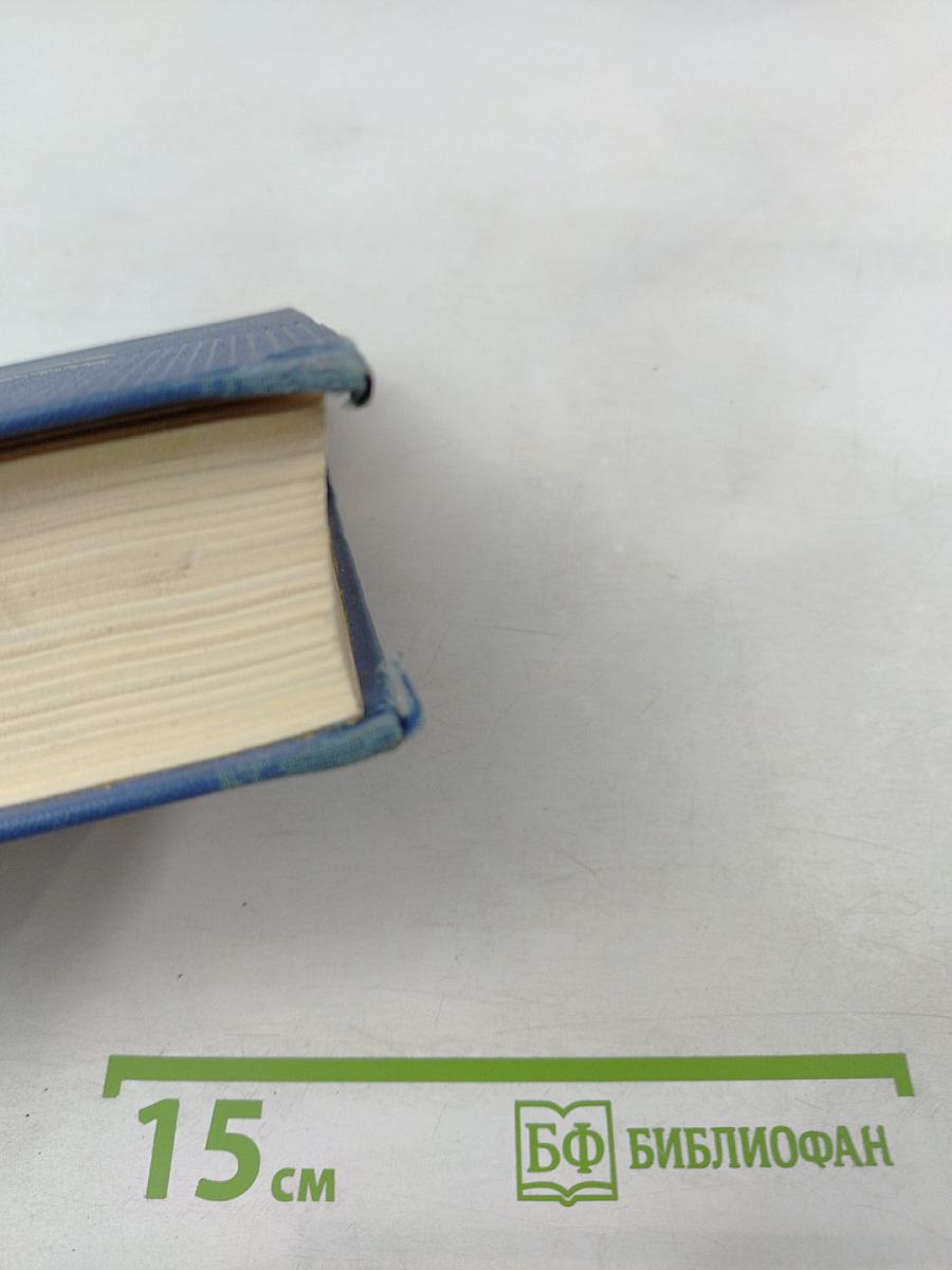 Собрание сочинений. Том Девятый: По экватору, Таинственный незнакомец