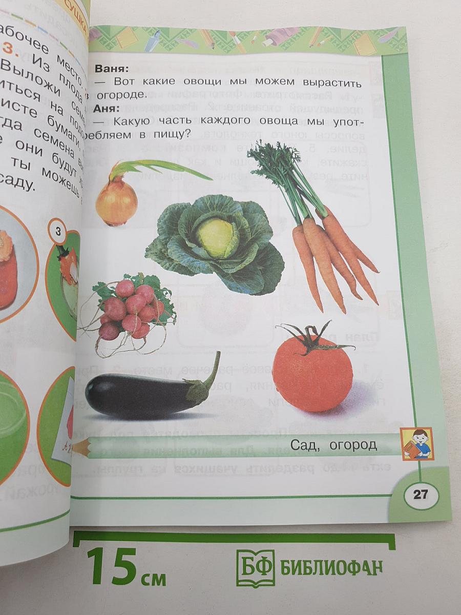 Технология 1 класс