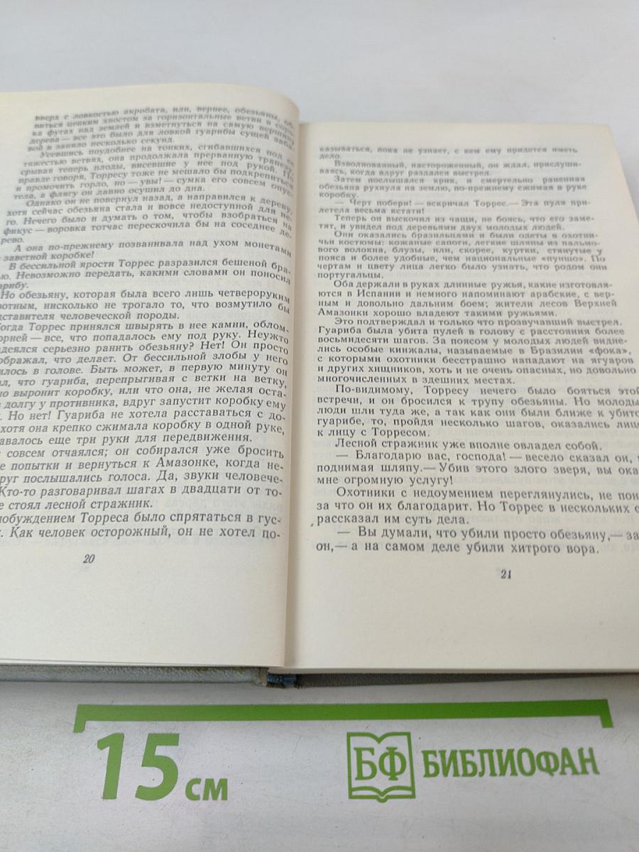 Жангада. Кораблекрушение "Джонатана"