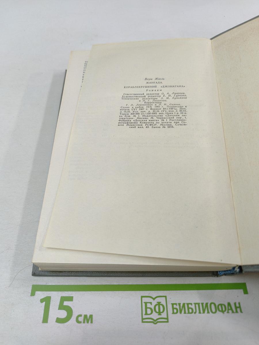 Жангада. Кораблекрушение "Джонатана"